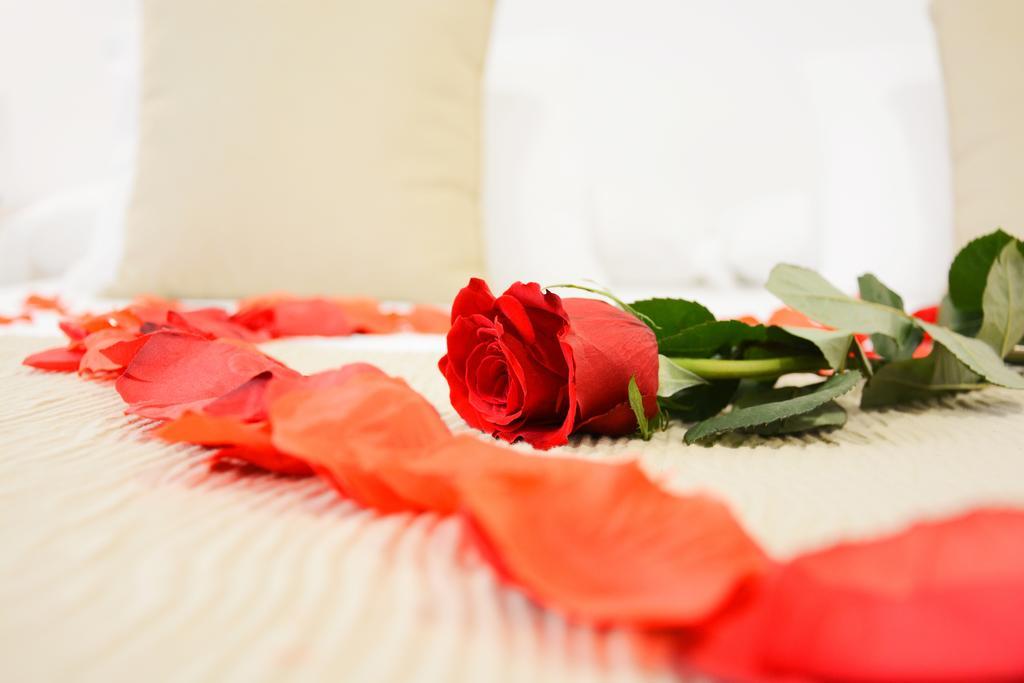 La Pasajera Hostal Boutique Conil De La Frontera Ngoại thất bức ảnh